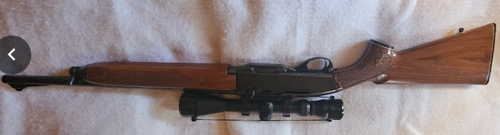 Remington 742  308 Win, Carbine