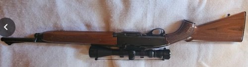 Remington 742  308 Win, Carbine