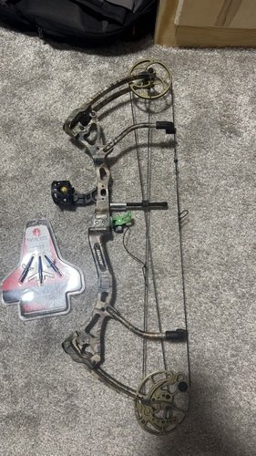 Bear assault compound bow 