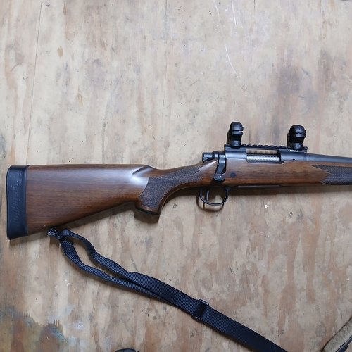 Remington 700 308 