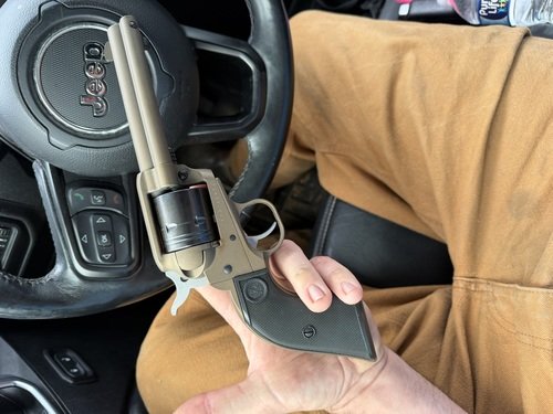 Ruger wrangler .22