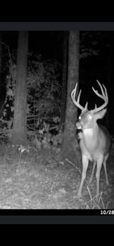 Hunting lease need two members