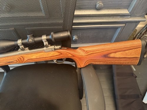 Ruger m77 target