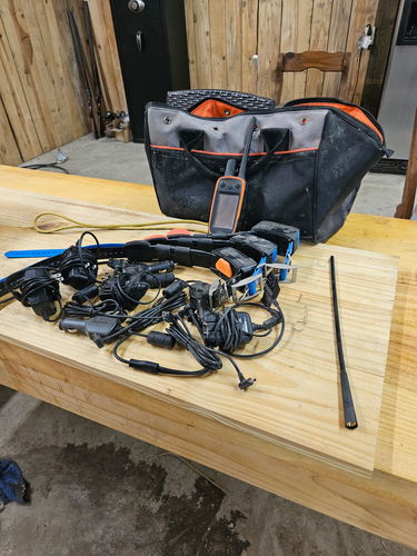 Garmin alpha 100 with 3 collars
