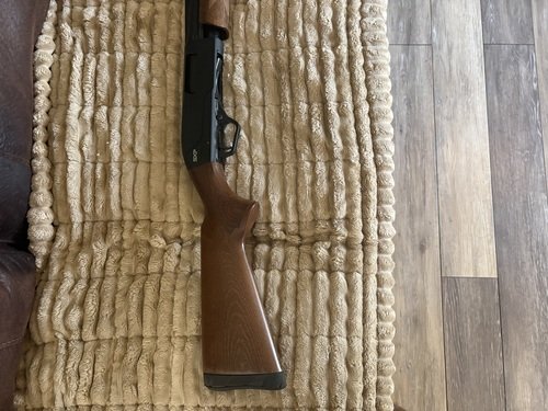 Winchester sxp 20 gauge