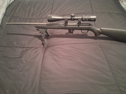 Savage 17 hmr