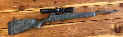 Savage model 110 308 