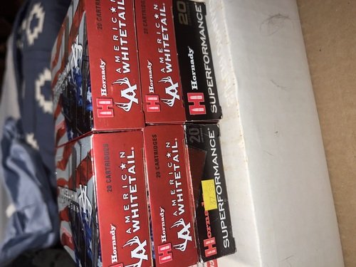 .270 ammo