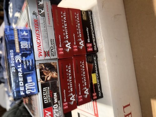 .270 ammo