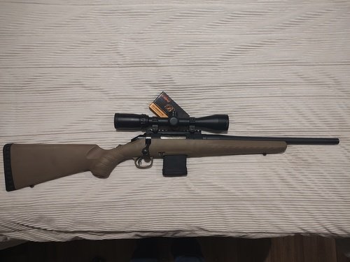 Ruger Ranch 5.56