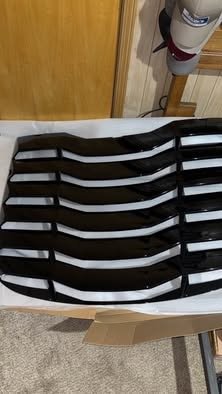 Rear mustang louver
