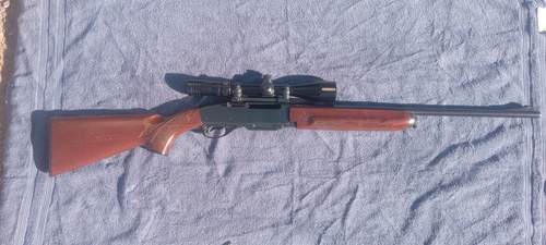 Remington 7400 243