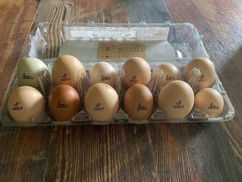 Fresh eggs