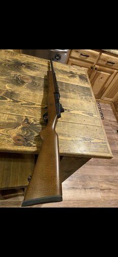 Ruger mini 14