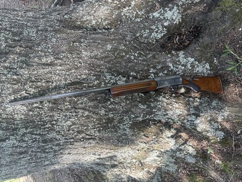 Browning Auto-5 Magnum 12 A5 Shotgun