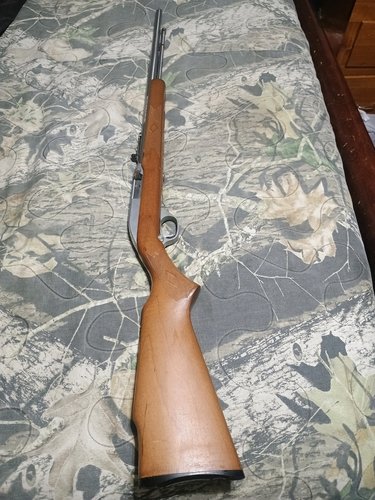 Marlin model 60 Stainless 22 Lr