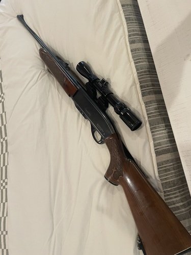 Remington 742 Woodsmaster 30-06 Bushnell Scope