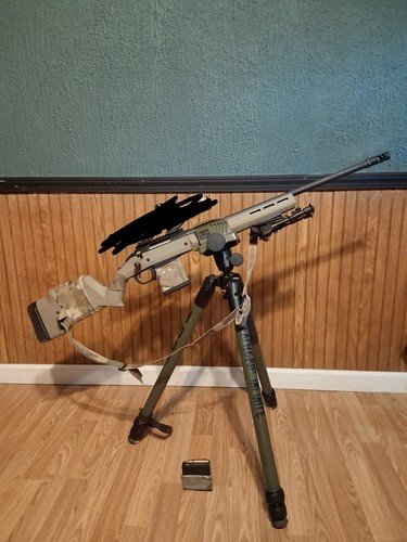 Ruger American Hunter 308 win