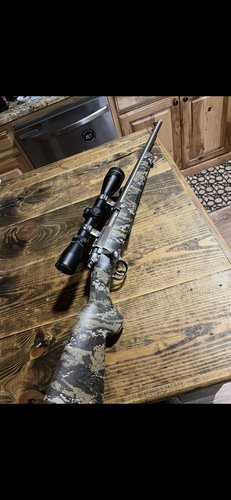 Ruger m77