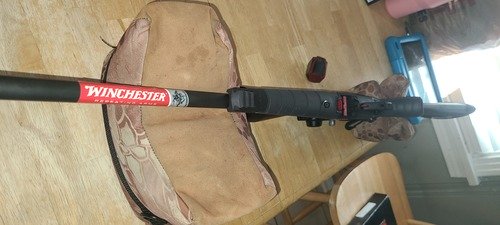 Winchester Wildcat .22