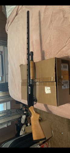 Winchester 20ga pump 