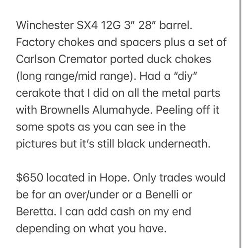 Winchester SX4 12G 28” 