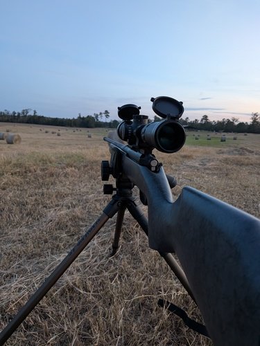 Mossberg patriot long range hunter 