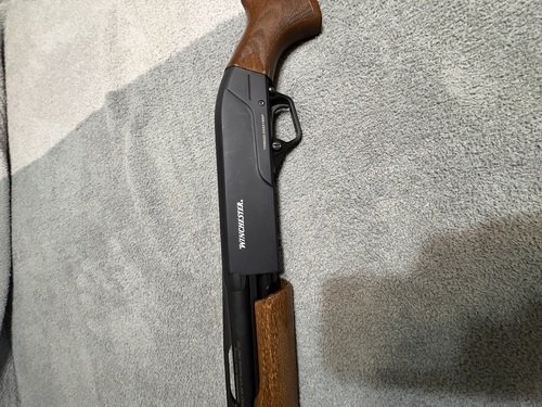 Winchester sxp 20 gauge
