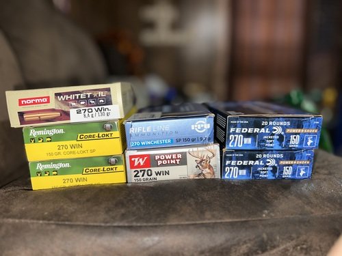 270 Bullets