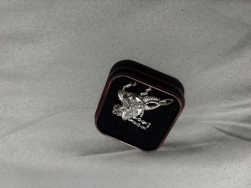 Lord of the ring necklace