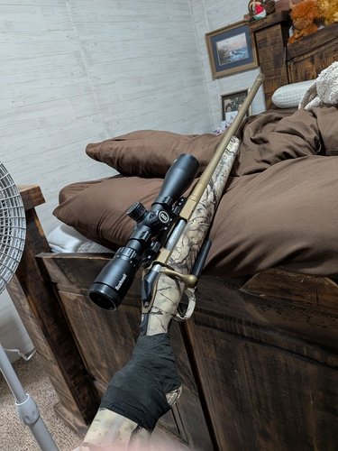 Ruger gowild 6.5 creedmoor 