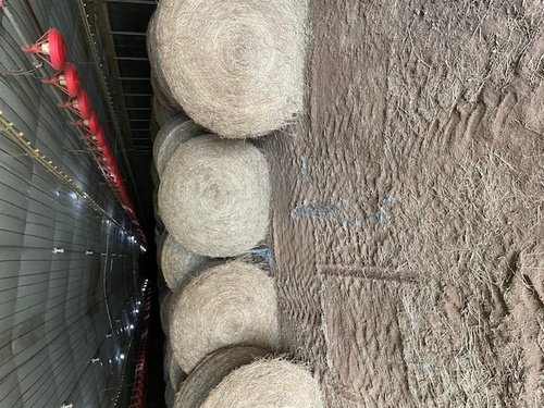 Round hay forsale