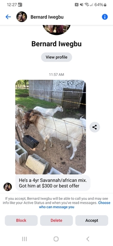 In search of a large type billy goat