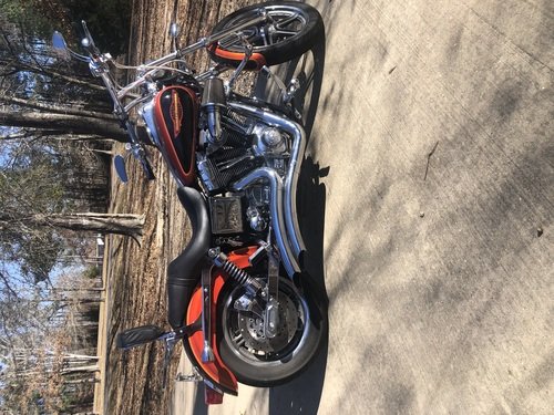 2005 Harley Davidson Dyna Low Ryder