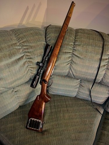 Remington 788 .243