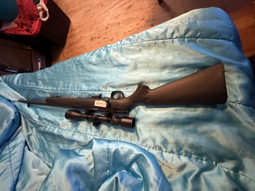 Savage arms 22WMR 