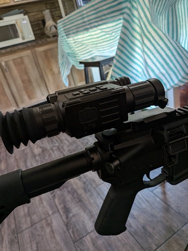 223 wylde with night vision 