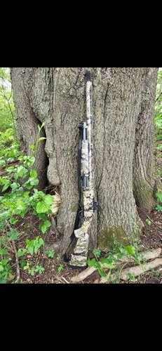 Browning BPS 10 gauge with over $500 worth of TSS turkey loads.