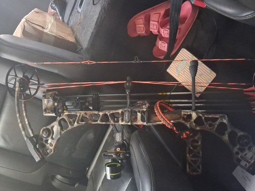 Mathews no cam fully decked out