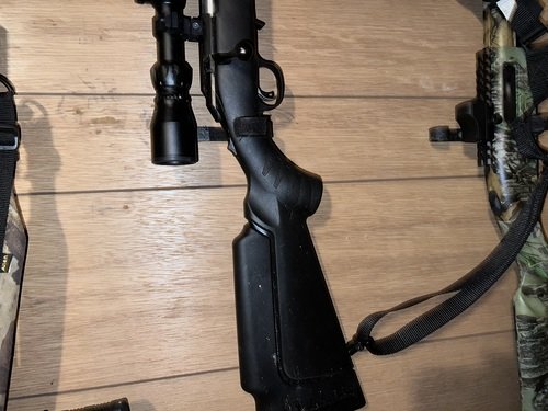 Ruger American.22 LR rifle 