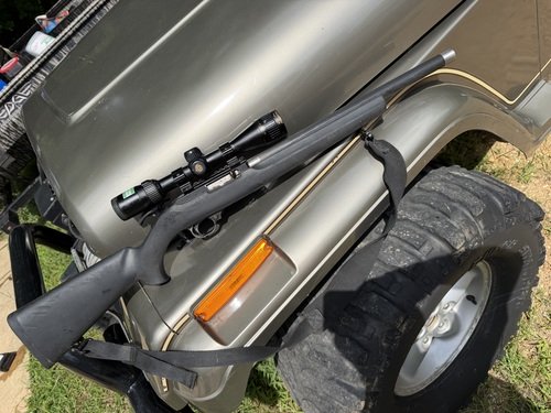 Ruger 10/22 with Nikon scope