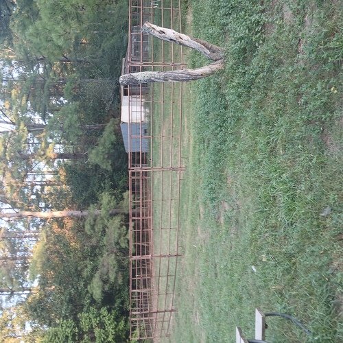 55ft round pen