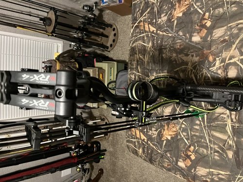 Compound Bow