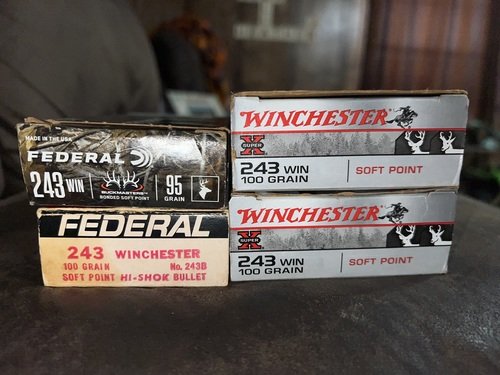 243 Bullets