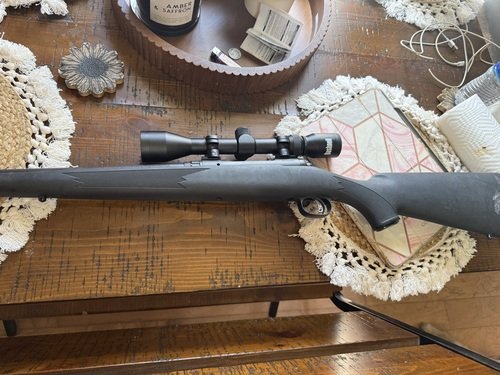 Savage model 10 