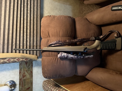 Remington 308
