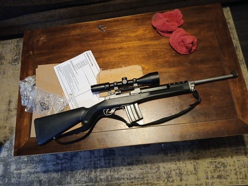 Ruger Mini 14 