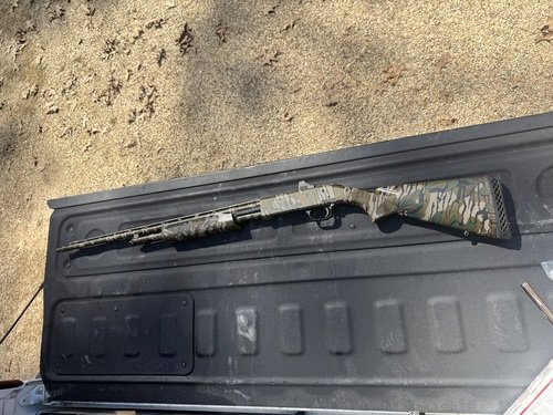 Mossburg 410 Turkey