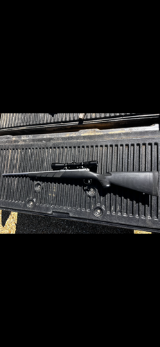 Model 16 Stainless 308