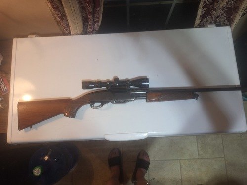 Gun